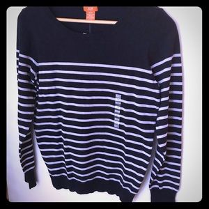 Navy & White Striped Sweater NWT